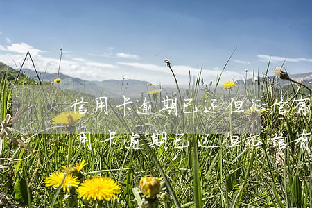 信用卡逾期已还,但征信有呆账会消除吗-信用卡逾期已还,但征信有呆账会消除吗