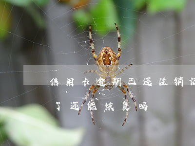 信用卡逾期已还注销记录(信用卡逾期被注销了还能恢复吗)