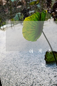 信用卡逾期已還上失信嗎 有信用卡逾期還能貸款嗎