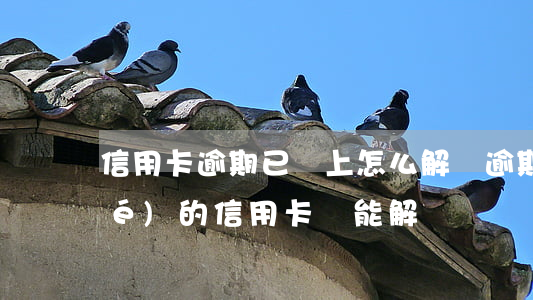 信用卡逾期已還上怎么解凍(逾期凍結(jié)的信用卡還能解凍嗎)