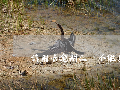 信用卡逾期已還不能用快貸