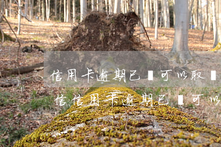 信用卡逾期已還可以取現(xiàn)嗎微信（信用卡逾期已還可以取現(xiàn)嗎）