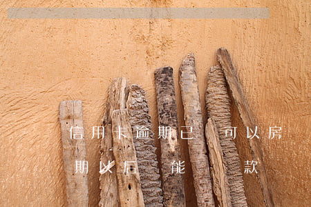 信用卡逾期已還可以房貸(信用卡逾期,房貸逾期,以后還能辦貸款嗎)