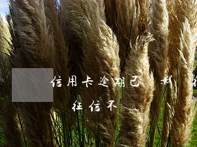 信用卡逾期已還影響征信(信用卡逾期已還影響征信不)