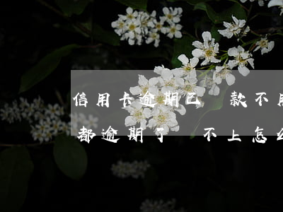 信用卡逾期已還款不用可以嗎(所有的信用卡都逾期了還不上,怎么辦)