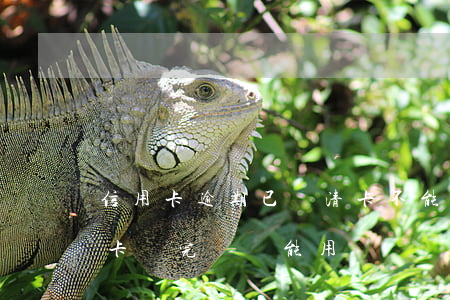 信用卡逾期已還清卡不能用(逾期半年的信用卡還完錢還能用嗎)