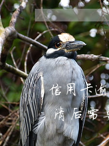 信用卡逾期已還清如何消案(逾期的信用卡還清后需要注銷嗎)