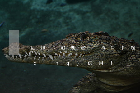 信用卡逾期已還清申卡(逾期還清兩年申請(qǐng)信用卡)