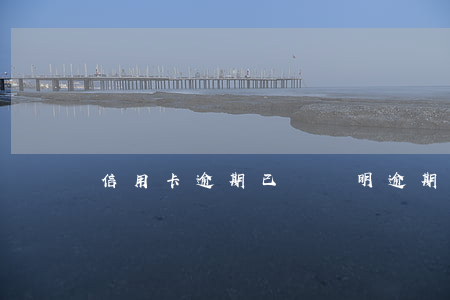 信用卡逾期已還證明(逾期了信用卡如何還)