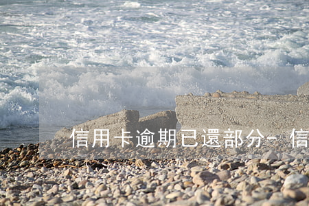 信用卡逾期已還部分-信用卡逾期已還部分