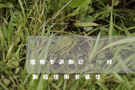信用卡逾期已銷戶找誰協(xié)商-逾期后信用卡被注銷