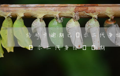 信用卡逾期已顯示二代身份證(信用卡逾期已顯示二代身份證過期)