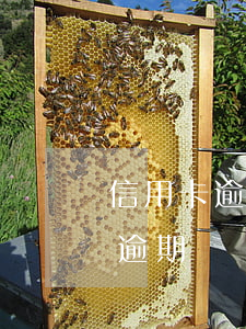 信用卡逾期帳單不增加了怎么回事-信用卡逾期帳單不增加了怎么回事兒