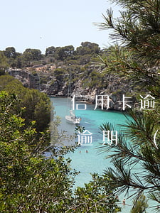 信用卡逾期帶不上款(有信用卡沒(méi)逾期過(guò)為什么貸不了款)
