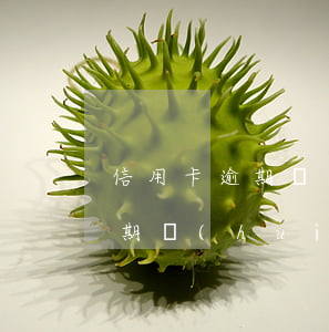 信用卡逾期帶來(lái)的危害和影響(逾期會(huì)影響辦理信用卡嗎)
