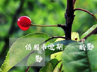信用卡逾期帶來的影響(曾經有信用卡逾期記錄影響)