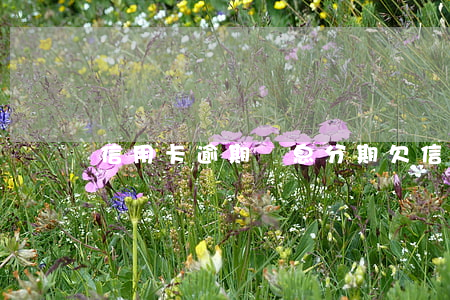 信用卡逾期帶息分期(欠信用卡分期)