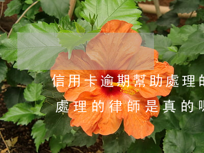 信用卡逾期幫助處理的律師(信用卡逾期幫助處理的律師是真的嗎)