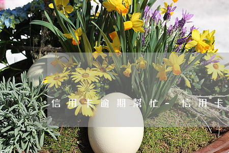 信用卡逾期幫忙-信用卡逾期幫忙分期