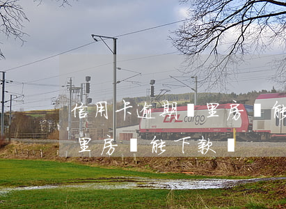 信用卡逾期幫里房貸能下款嗎(信用卡逾期幫里房貸能下款嗎)