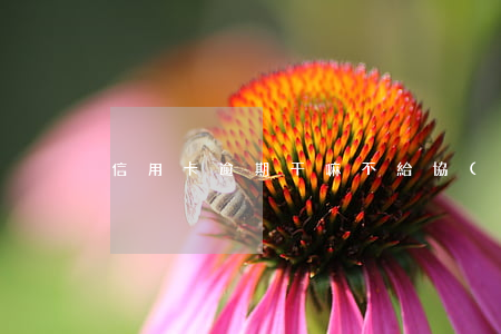 信用卡逾期干嘛不給協(xié)商