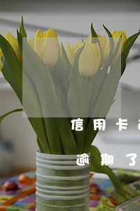 信用卡逾期平台帮助处理是真的吗(其他平台逾期了信用卡还能用吗)