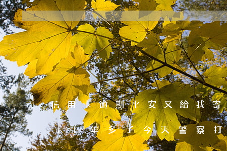 信用卡逾期平安又給我寄卡(欠平安2萬信用卡1年多了,今天警察打電話了)