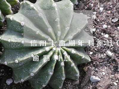 信用卡逾期年利率計(jì)算方法(信用卡 逾期利息)