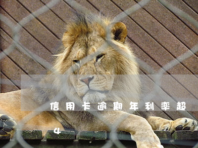 信用卡逾期年利率超過24(逾期利息超過24)