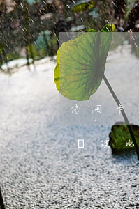 信用卡逾期年化多少(逾期多年的信用卡怎么處理比較好)