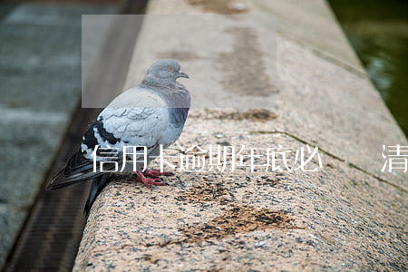 信用卡逾期年底必須還清嗎