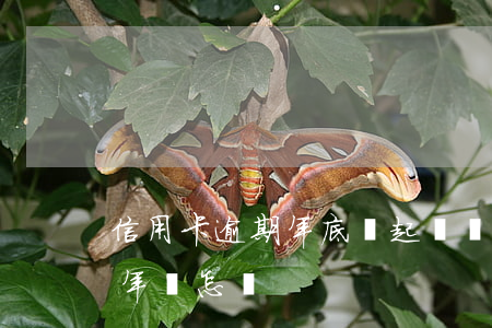 信用卡逾期年底會起訴嗎-欠信用卡逾期一年會怎樣