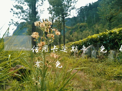 信用卡逾期年減免(為什么信用卡逾期還可以有減免)