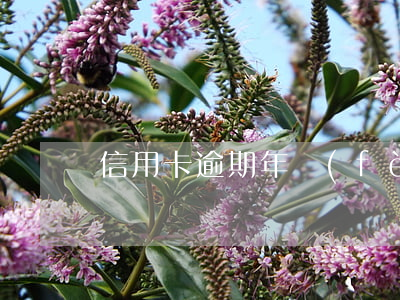 信用卡逾期年費(fèi)一次