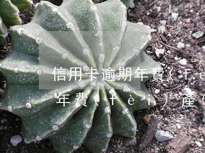信用卡逾期年費(fèi)描述-因信用卡年費(fèi)產(chǎn)生的逾期可以消除嗎