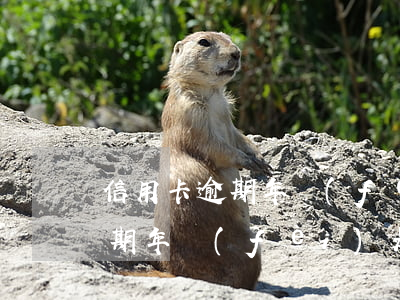 信用卡逾期年費(fèi)是多少(信用卡逾期年費(fèi)是多少天)