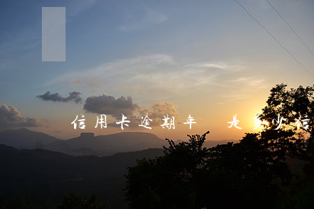 信用卡逾期年費是多少(信用卡逾期的費用)