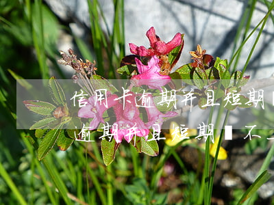 信用卡逾期并且短期還不上怎么辦呢（信用卡逾期并且短期還不上怎么辦）