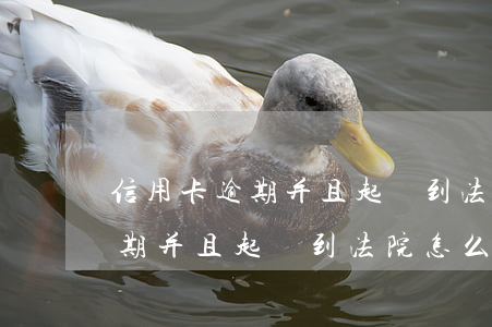 信用卡逾期并且起訴到法院怎么辦(信用卡逾期并且起訴到法院怎么辦)