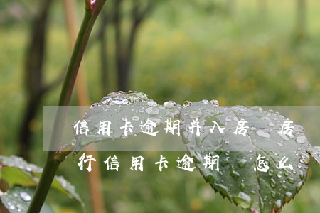 信用卡逾期并入房貸(房貸和信用卡在一家銀行信用卡逾期會怎么樣)