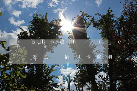 信用卡逾期幾個(gè)小時(shí)會怎么樣(信用卡逾期幾個(gè)小時(shí)會怎么樣)
