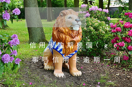 信用卡逾期幾個(gè)小時(shí)有事嗎(信用卡 逾期 一周)
