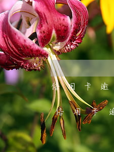 信用卡逾期幾個(gè)月七八萬會怎樣-信用卡逾期幾個(gè)月七八萬會怎樣處理
