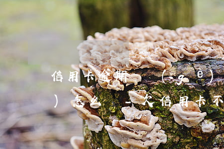 信用卡逾期幾個(gè)月不還會(huì)怎么樣-欠信用卡不還多久會(huì)被起訴