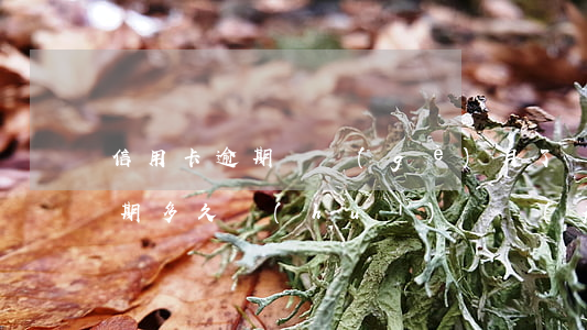 信用卡逾期幾個(gè)月了還能解凍嗎(逾期多久會(huì)凍結(jié)信用卡)