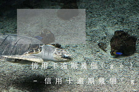 信用卡逾期幾個(gè)月后收到法院傳票-信用卡逾期幾個(gè)月后收到法院傳票怎么辦
