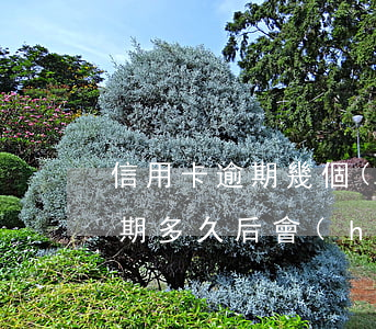 信用卡逾期幾個(gè)月后果(欠信用卡逾期多久后會(huì)黑名單)