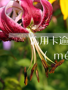 信用卡逾期幾個(gè)月實(shí)在沒(méi)有錢還-信用卡逾期幾個(gè)月實(shí)在沒(méi)有錢還款怎么辦