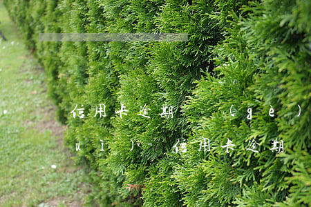 信用卡逾期幾個(gè)月怎樣才不會(huì)-信用卡逾期幾個(gè)月怎樣才不會(huì)上征信