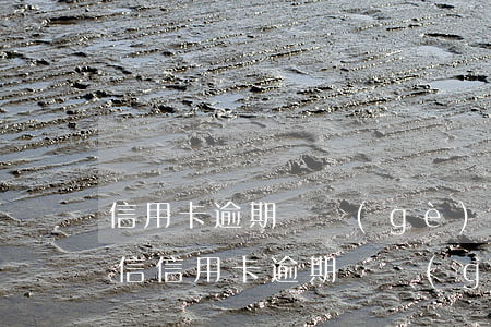 信用卡逾期幾個(gè)月恢復(fù)征信(信用卡逾期幾個(gè)月恢復(fù)征信)